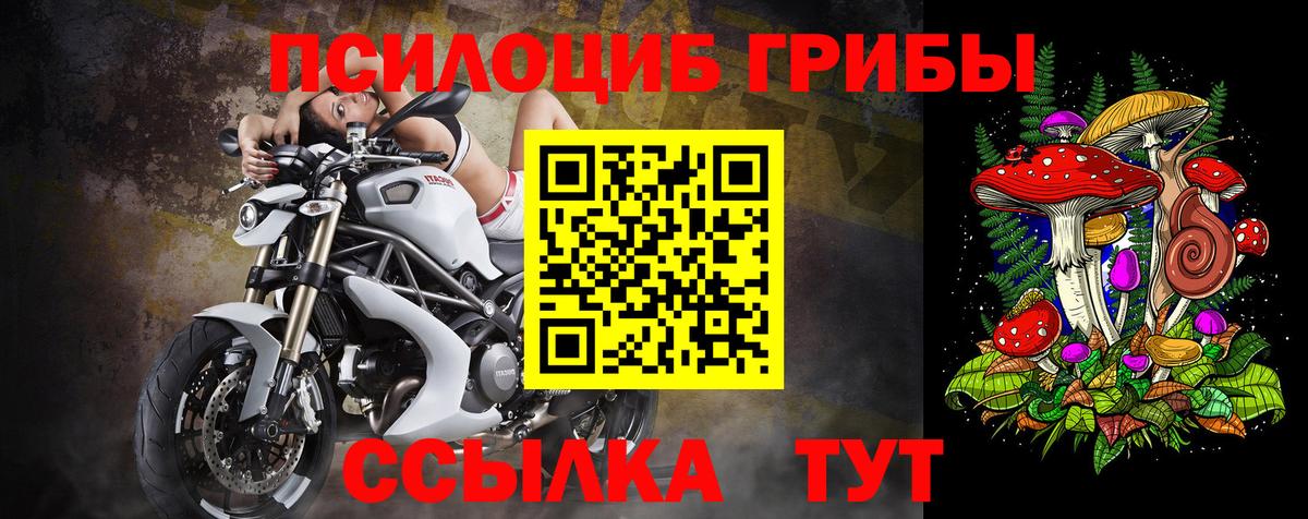 Галлюциногенные грибы прущие грибы  Вход с VPN  Ивантеевка 