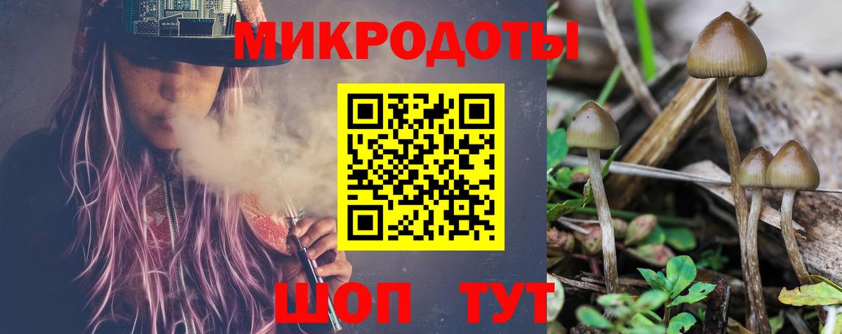 Псилоцибиновые грибы Magic Shrooms Ивантеевка